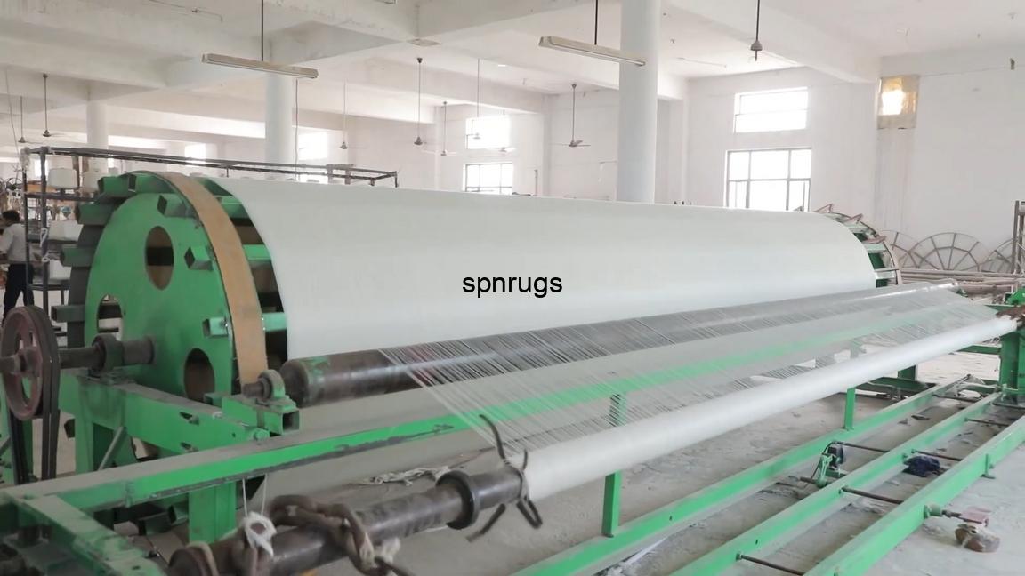 Spnrugs00013
