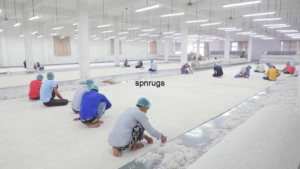 Spnrugs00022